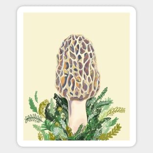 Morel Magnet